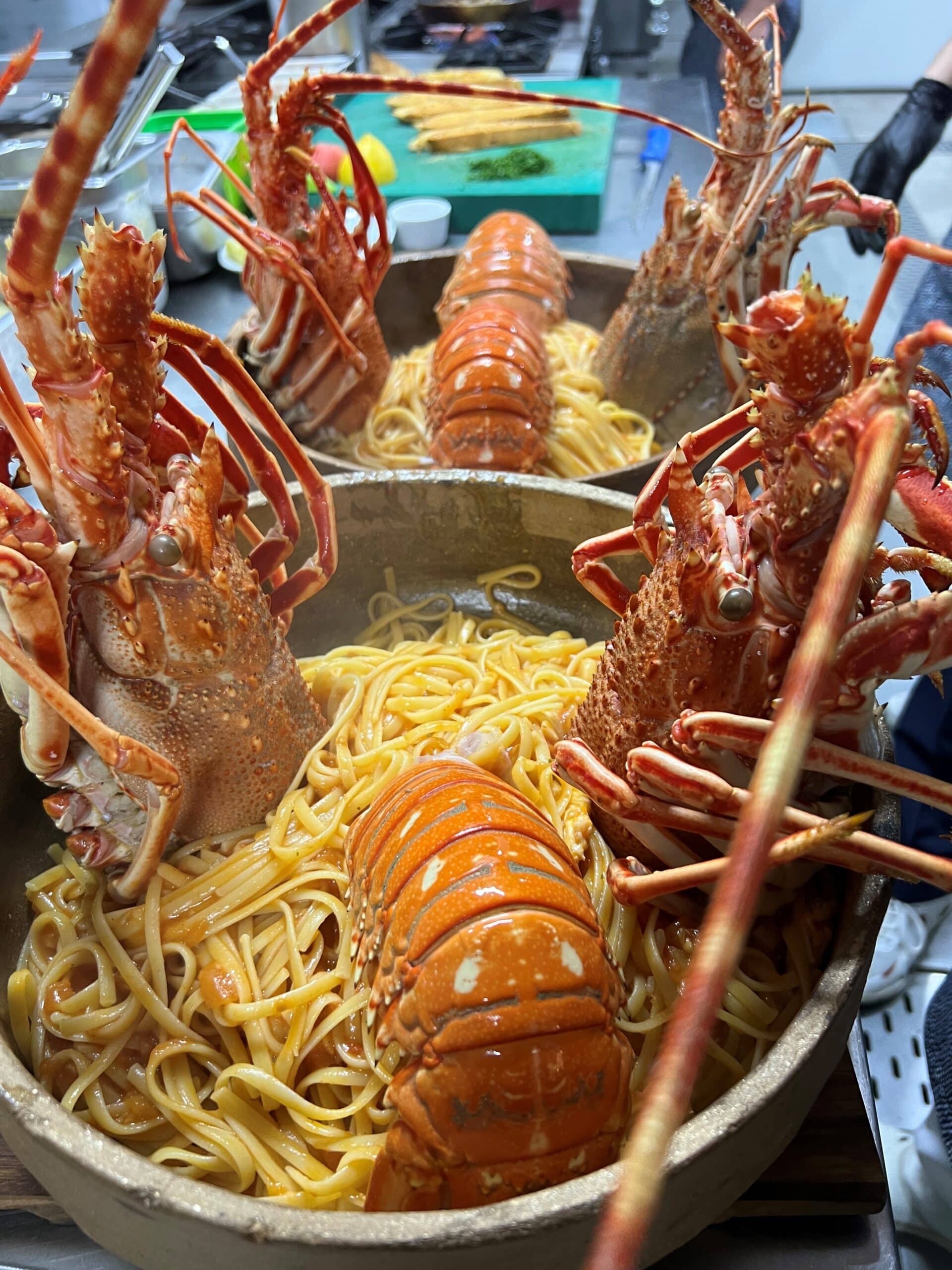 ORKİDE BALIK - 35 Yıldır Bodrum Göltürkbükü'nde 2 Orkide1